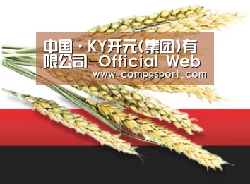 中国·KY开元(集团)有限公司-Official Website