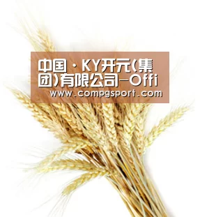 中国·KY开元(集团)有限公司-Official Website
