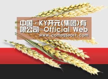 中国·KY开元(集团)有限公司-Official Website